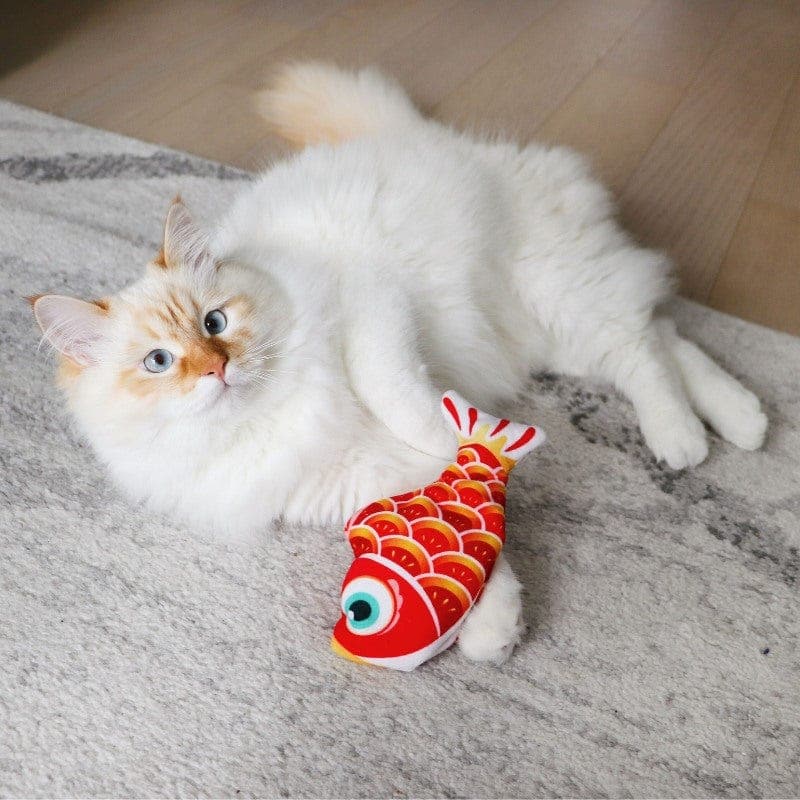 Mini Floppy Fish