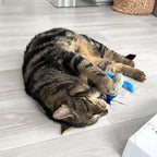 Replacement Birds (For Chirping Bird with Catnip)
