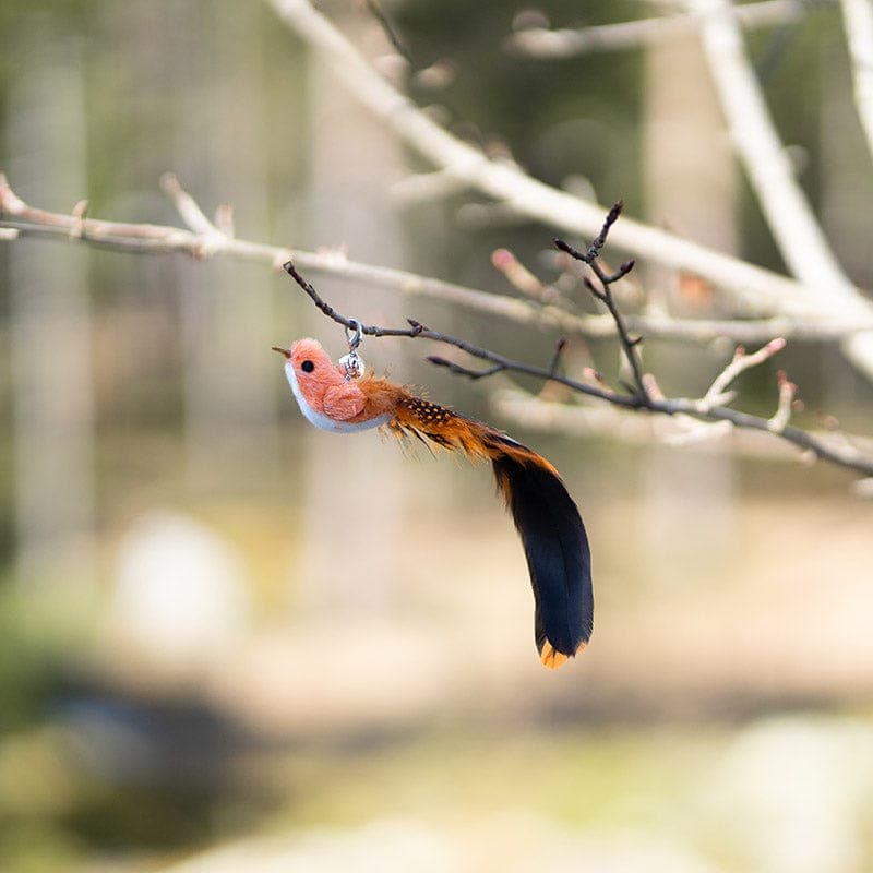 Replacement Birds (for Interactive Bird Simulation Cat Toy Set)