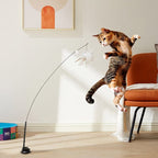 Replacement Birds (for Interactive Bird Simulation Cat Toy Set)