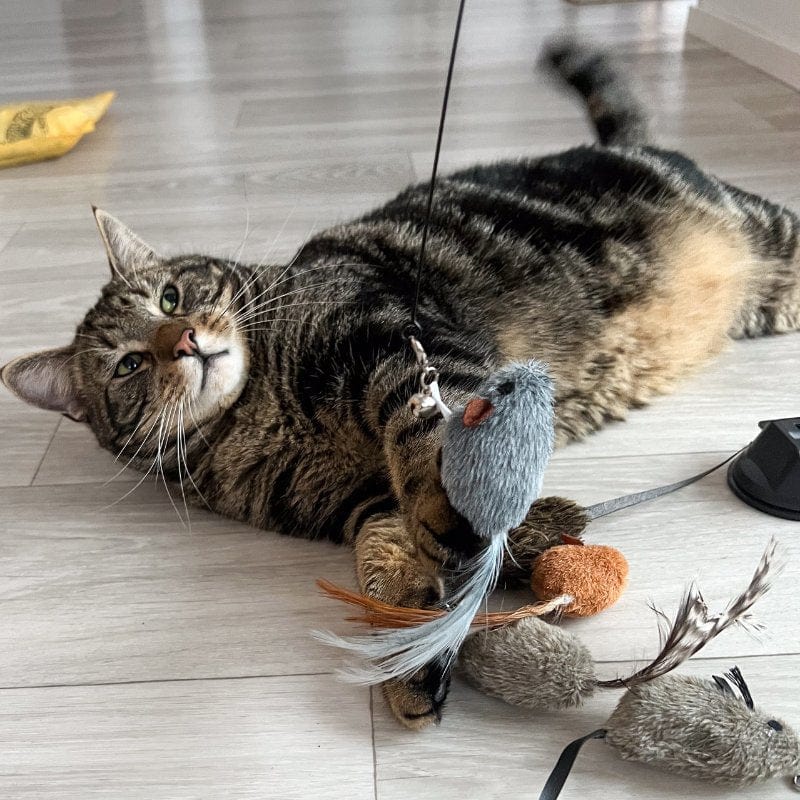 Replacement Mice (for Interactive Bird Simulation Cat Toy)