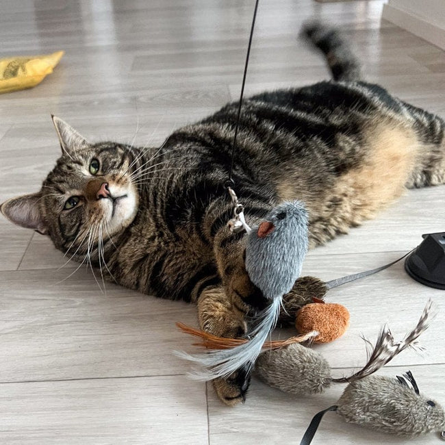Replacement Mice (for Interactive Bird Simulation Cat Toy) Main Image