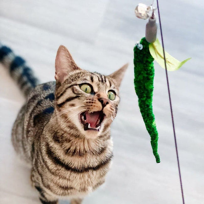 Replacement Worms (for Interactive Bird Simulation Cat Toy Set) Main Image